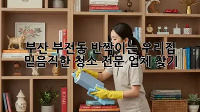 부산 부전동 반짝이는 우리집, 믿음직한 청소 전문 업체 찾기!