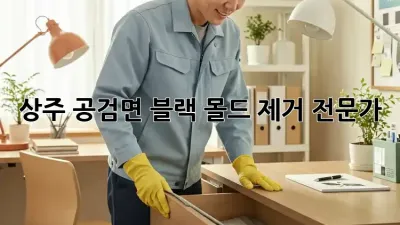 상주 공검면 블랙 몰드 제거 전문가
