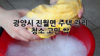 ✨ 광양시 진월면 주택 관리, 청소 고민 싹! 🧹🏡