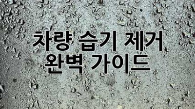 차량 습기 제거 완벽 가이드